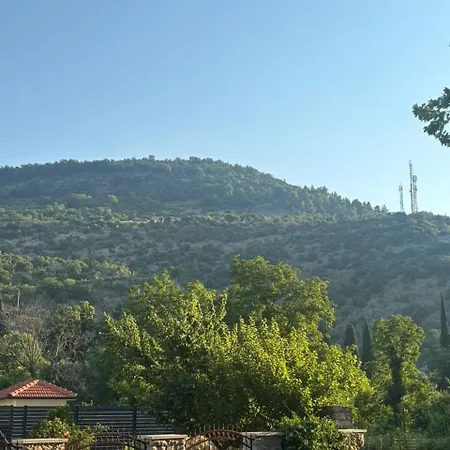 Medina Сараево