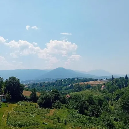 Medina *